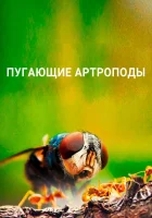  Пугающие артроподы смотреть онлайн тв шоу 1 сезон 